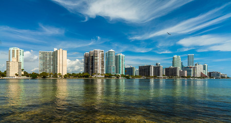 Miami Skyline