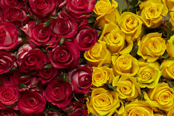 roses