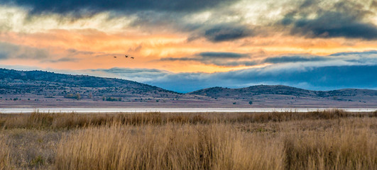 Cranes migrating over Gallocanta Lagoon in, Spain