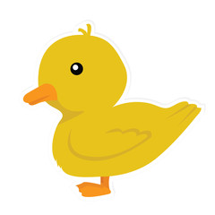 duck