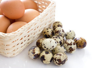 Obraz premium Quail eggs and eggs isolated on white background
