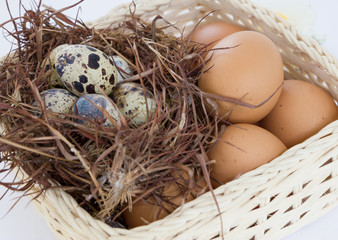 Eggs in basket