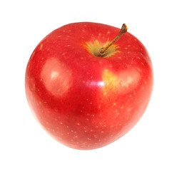 bright ripe apple