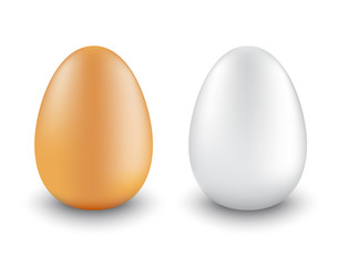 two chicken eggs realistic different colors
