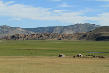 Mongolische Steppe des Khustain Nationalparks