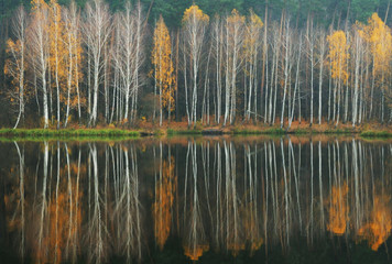 reflection