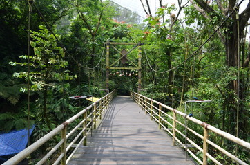 Bridge in Tropical Singapore
