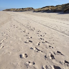 spuren am strand auf sylt