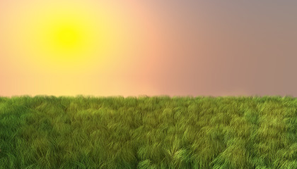 Obraz na płótnie Canvas Green grass on sunset