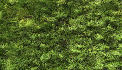 Green grass background