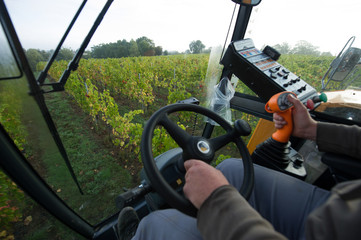 Winegrower driving a harvesting machine