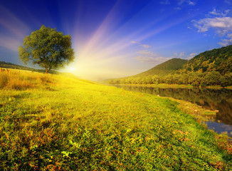 Obraz premium summer landscape