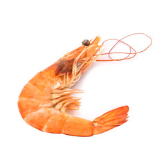 fresh shrimp isolated on a white background