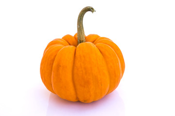 Pumpkin isolated on white background