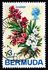 Postage stamp Bermuda 1970 Nerium Oleander, Plant