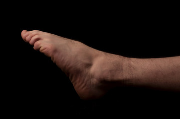 Human anatomy series: Plantar flexion