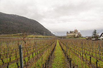 Fototapeta na wymiar The Château d’Aigle Castle in Switzerland