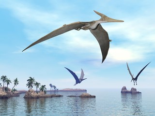 Pteranodon dinosaurs flying - 3D render © Elenarts