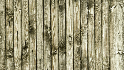 Fototapeta premium The wood texture with natural patterns