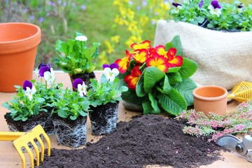 gartenarbeit