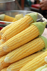 Sweet corn in the market
