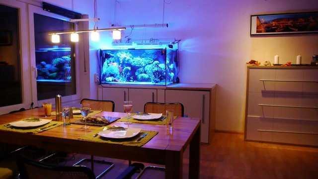 Wohnzimmer mit Aquarium