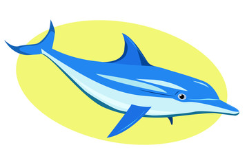 blue dolphin fish marine ocean nature