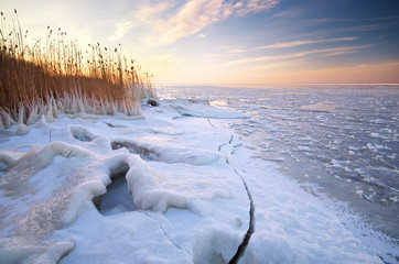 Winter landscape