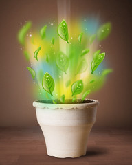 Glowing leaves coming out of flowerpot