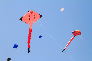 Fish kite on blue sky