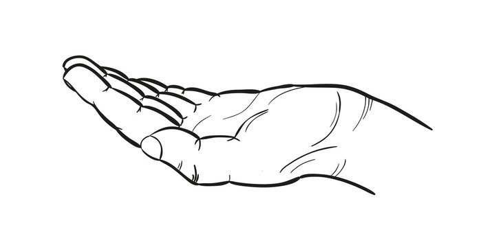 sketch of the hand