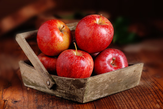 mele rosse biologiche nella cassetta di legno