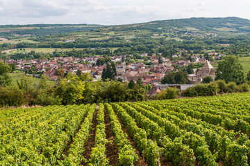 Fototapeta na wymiar Vignoble et village de Santenay en Bourgogne