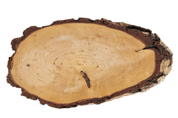 Holzscheibe
