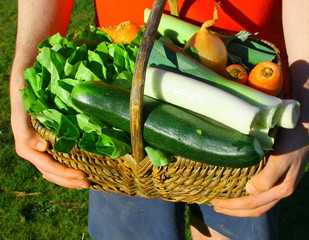 récolter les légumes du jardin dans in panier