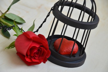 heart in cage