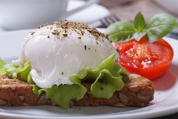 sandwich with egg Benedict and tomato closeup