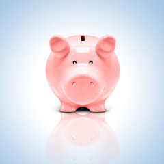 Rosa Sparschweinchen