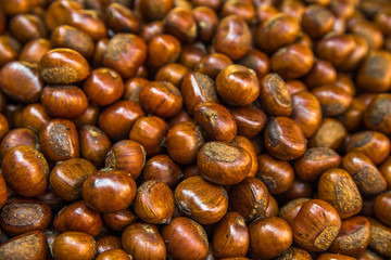 sweet chestnut background