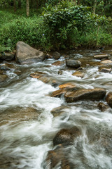 Naklejka na ściany i meble stream in the forest of Thailand