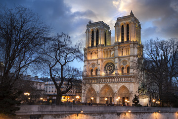 Cathédrale Notre dame de paris - obrazy, fototapety, plakaty