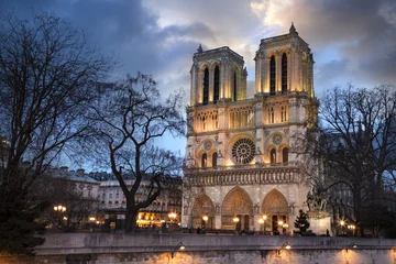 Fototapeten Kathedrale Notre-Dame de Paris © PUNTOSTUDIOFOTO Lda