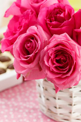 pink roses