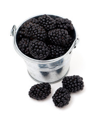 blackberries in a bucket isolated on white background