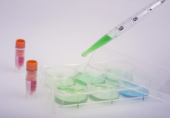 Plastic labware for scientific research.