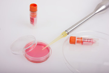 Biochemical tests of cell culture.