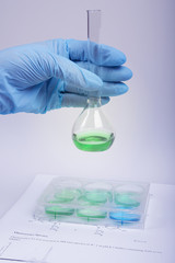 Fototapeta premium cell cultures in biomedical research laboratory