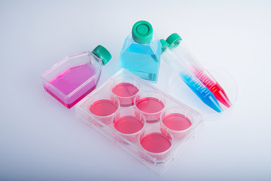 Plastic labware with blood analysis.