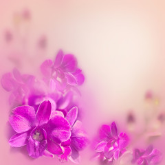 Abstract romantic floral background with pink tropical orchid fl