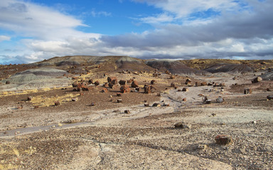 Blue Mesa, Petrified Forest National Park,